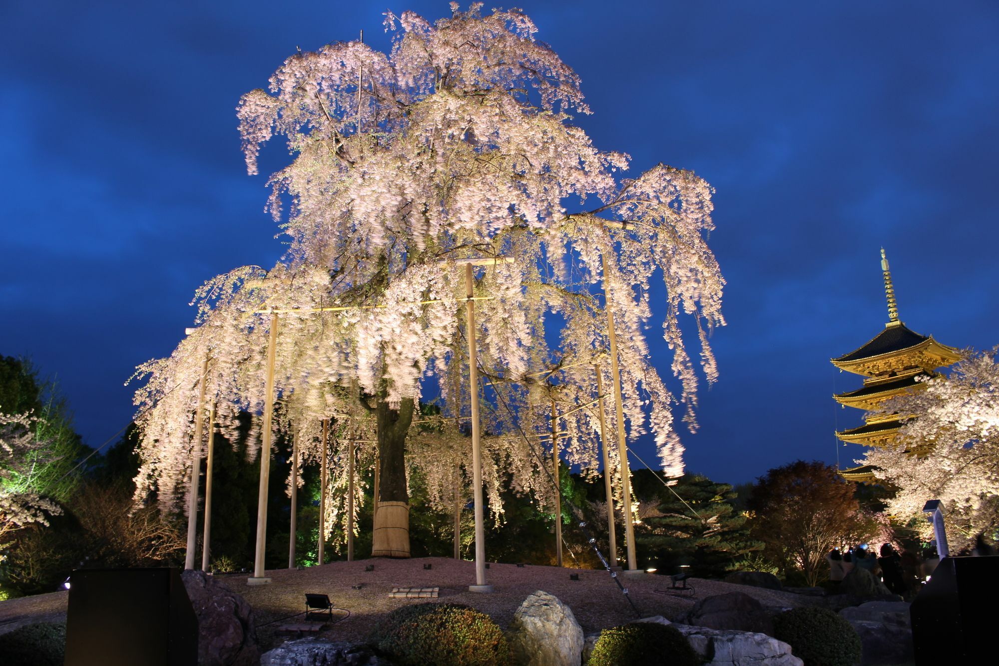 Stay Sakura Kyoto Toji West I Екстериор снимка