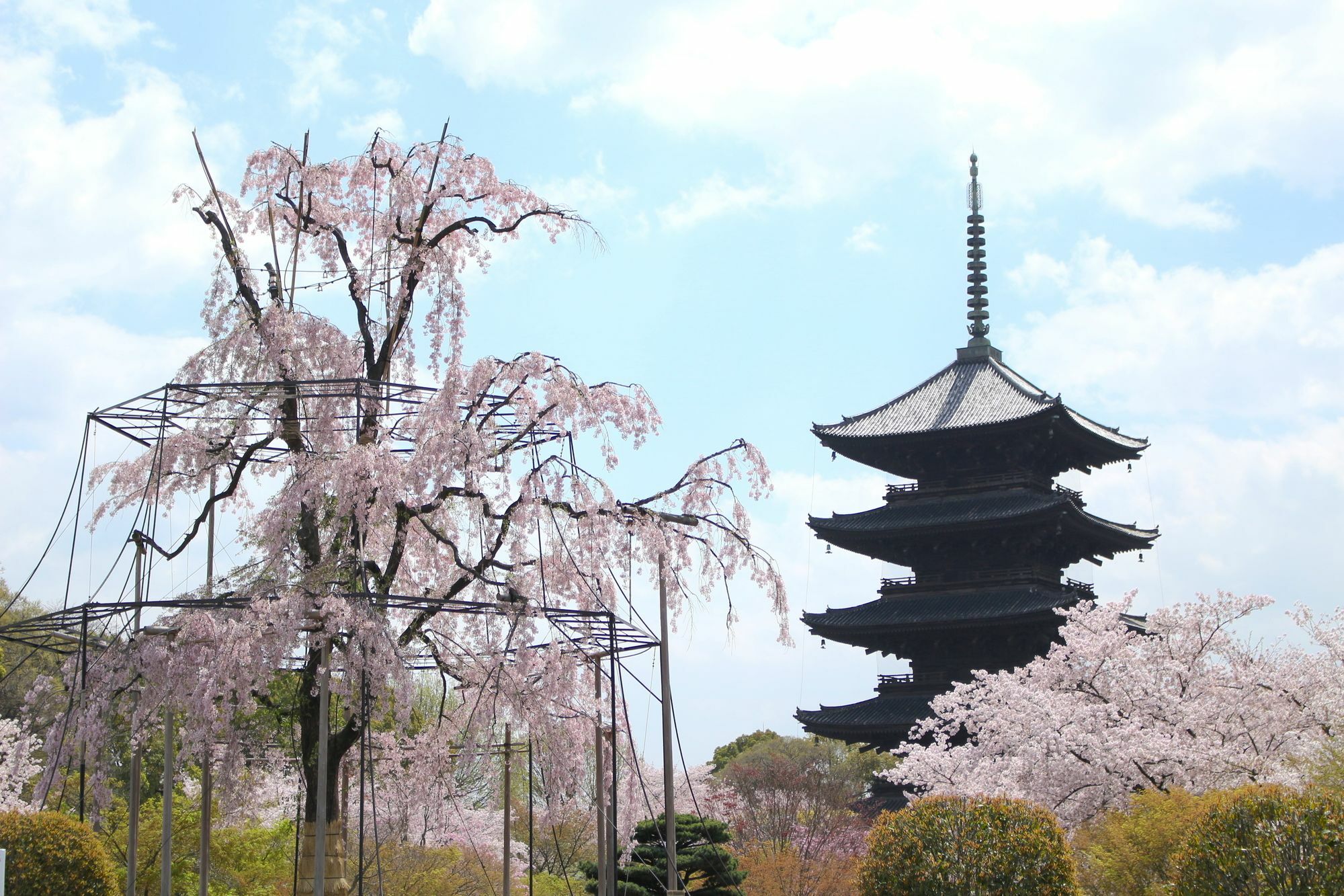 Stay Sakura Kyoto Toji West I Екстериор снимка