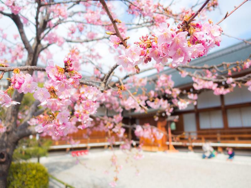 Stay Sakura Kyoto Toji West I Екстериор снимка