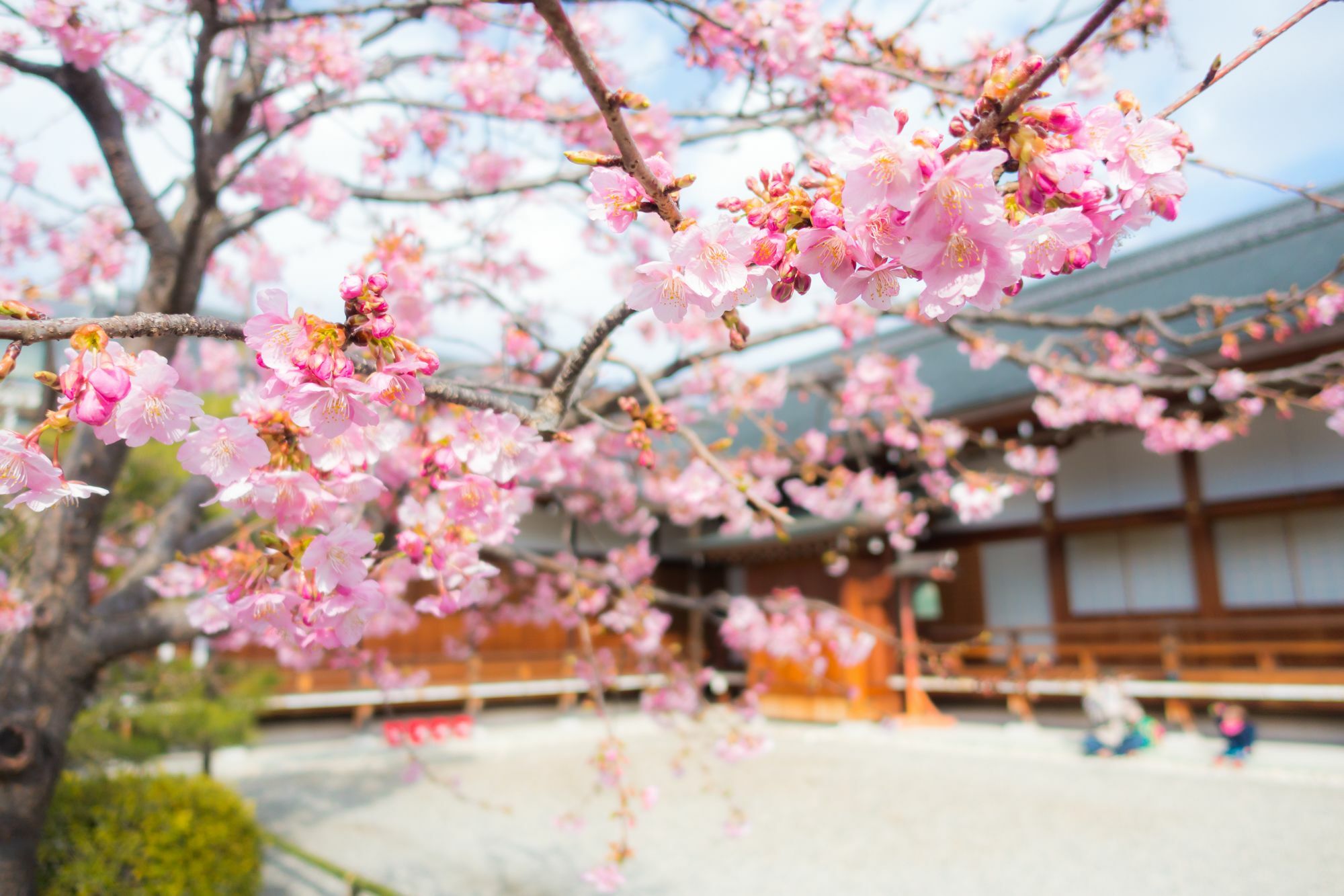 Stay Sakura Kyoto Toji West I Екстериор снимка